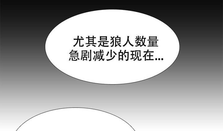 《狼的香气 ( I+II季)》漫画最新章节第242话免费下拉式在线观看章节第【8】张图片