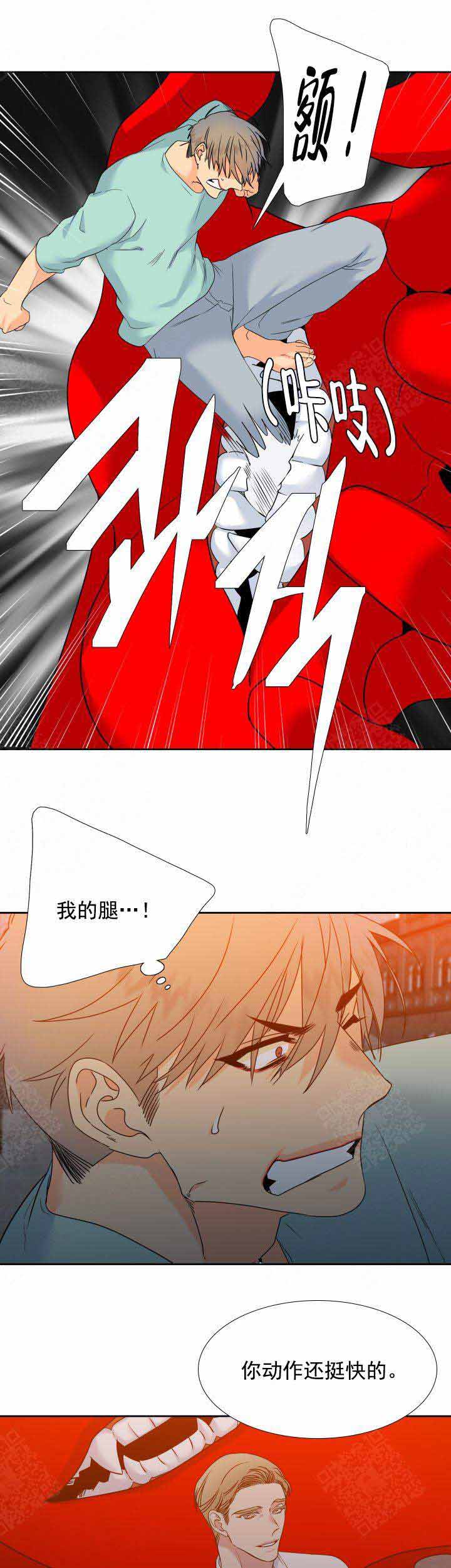 《狼的香气 ( I+II季)》漫画最新章节第205话免费下拉式在线观看章节第【5】张图片