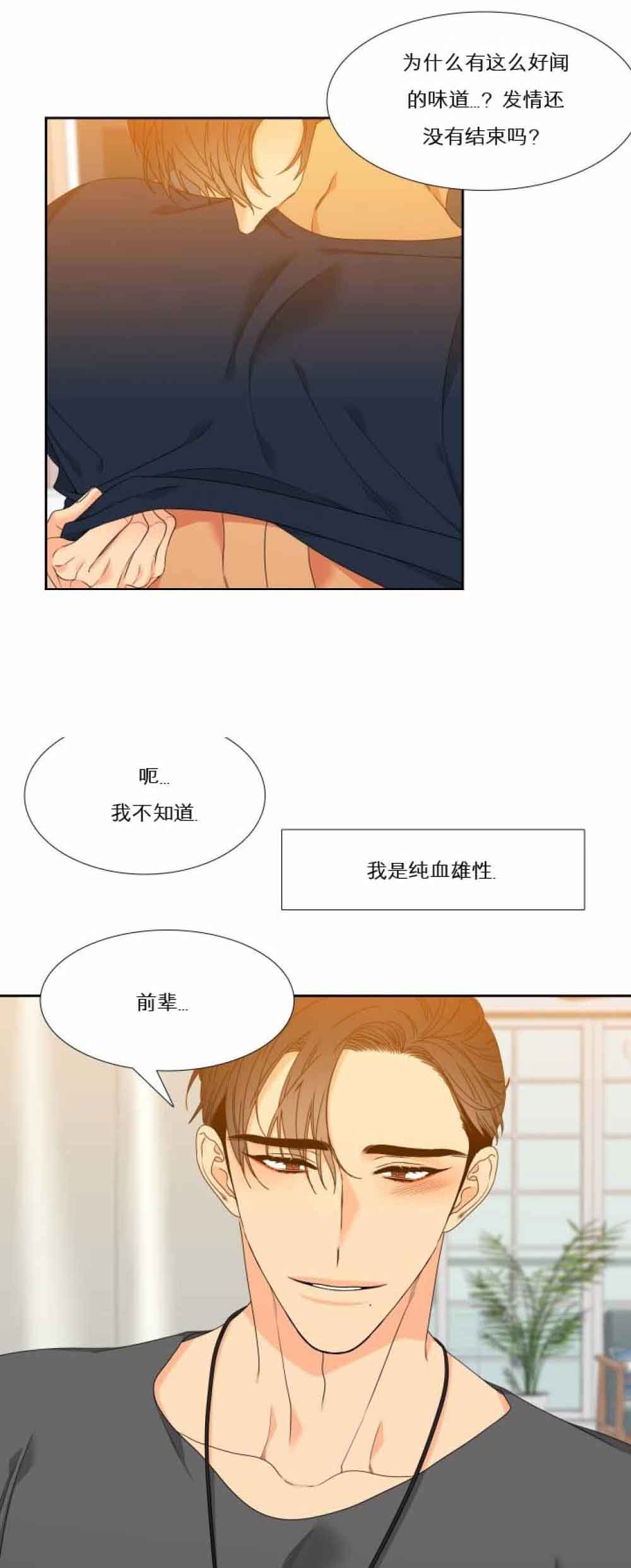 《狼的香气 ( I+II季)》漫画最新章节第123话免费下拉式在线观看章节第【5】张图片