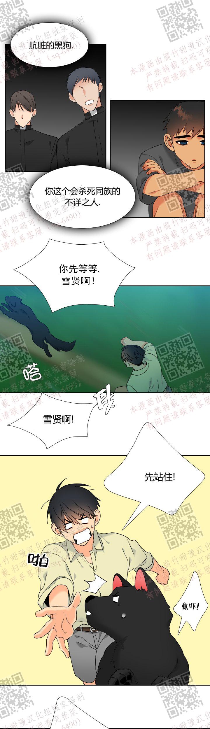 《狼的香气 ( I+II季)》漫画最新章节第233话免费下拉式在线观看章节第【11】张图片