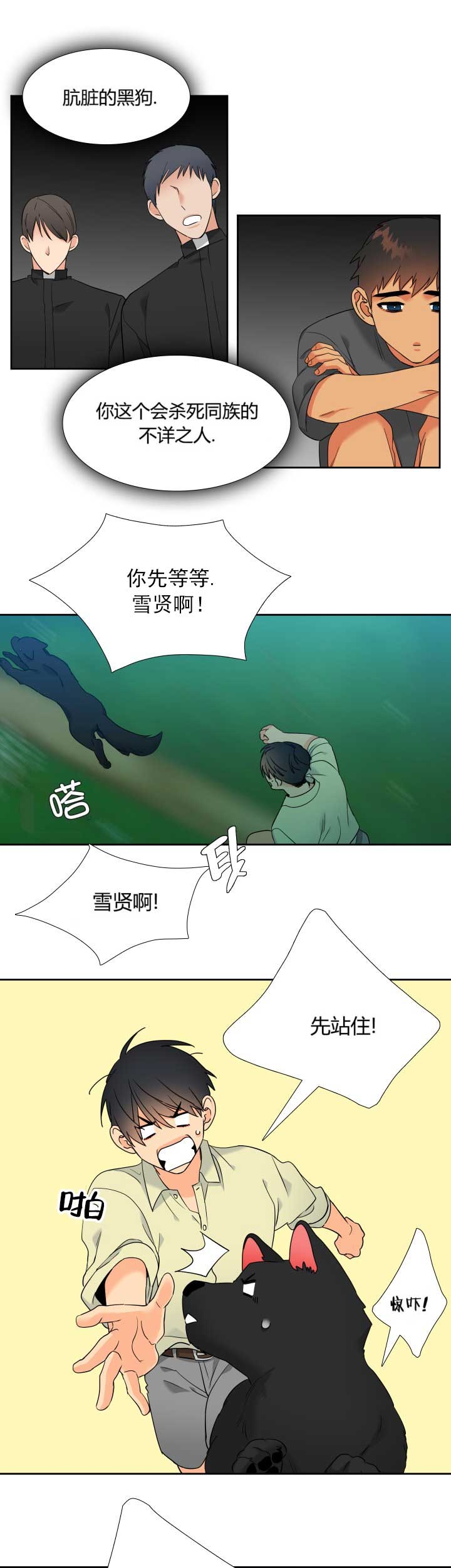 《狼的香气 ( I+II季)》漫画最新章节第224话免费下拉式在线观看章节第【11】张图片