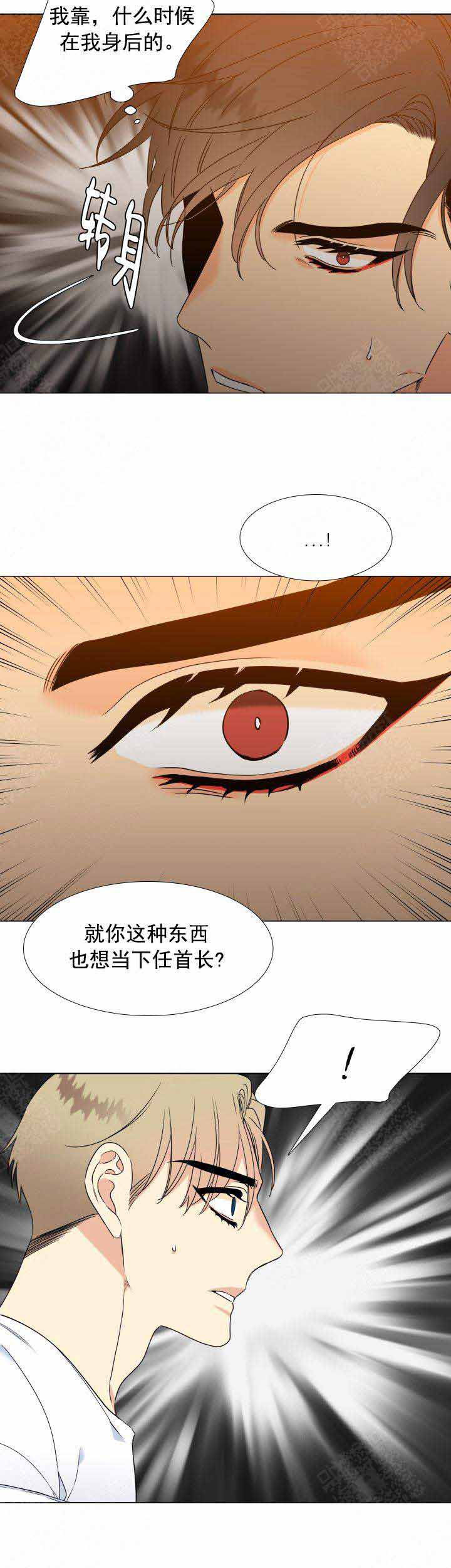 《狼的香气 ( I+II季)》漫画最新章节第202话免费下拉式在线观看章节第【2】张图片