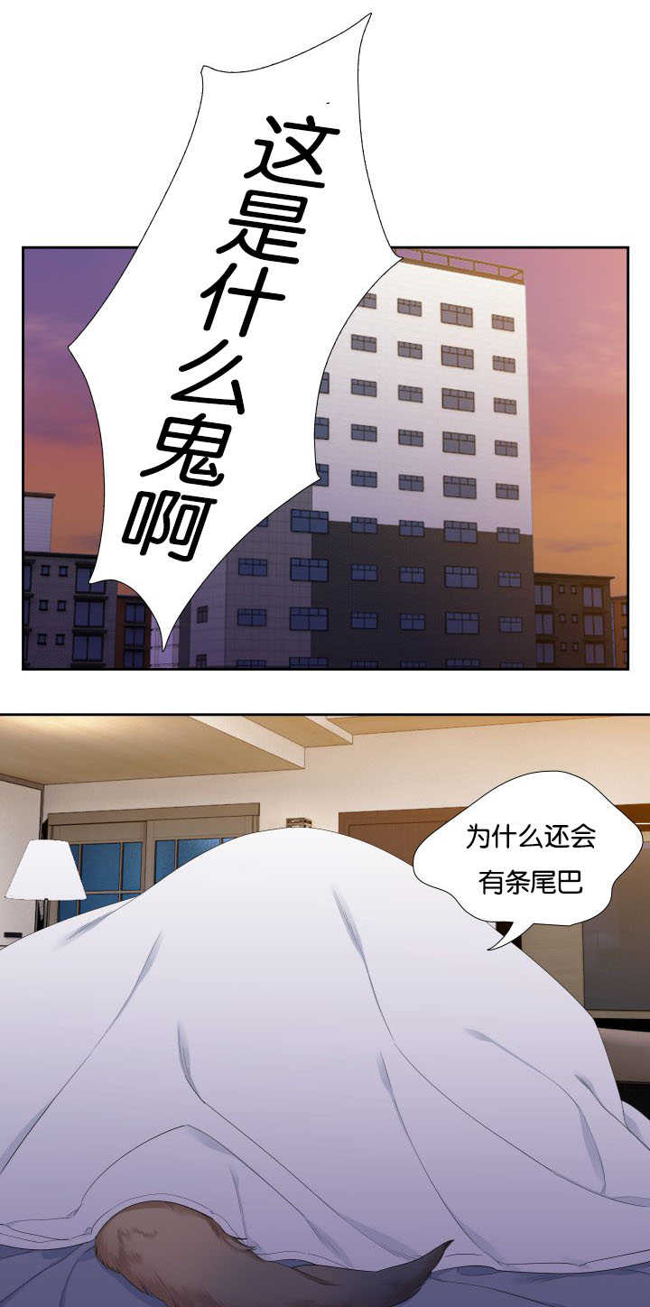 《狼的香气 ( I+II季)》漫画最新章节第32话免费下拉式在线观看章节第【4】张图片