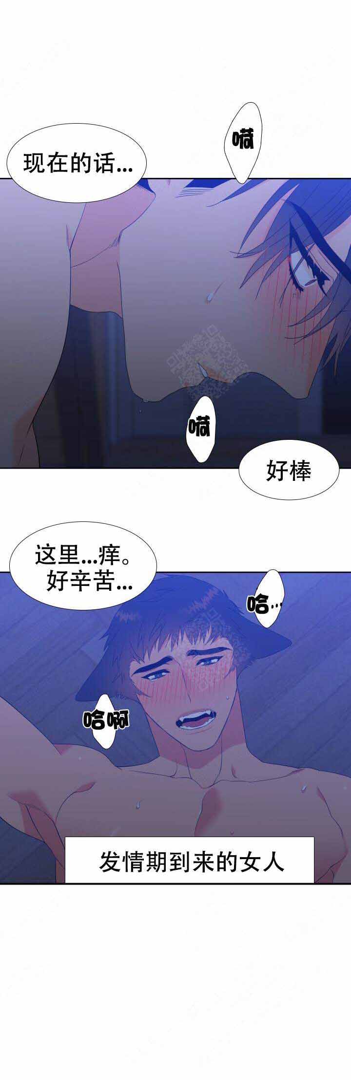 《狼的香气 ( I+II季)》漫画最新章节第165话免费下拉式在线观看章节第【2】张图片