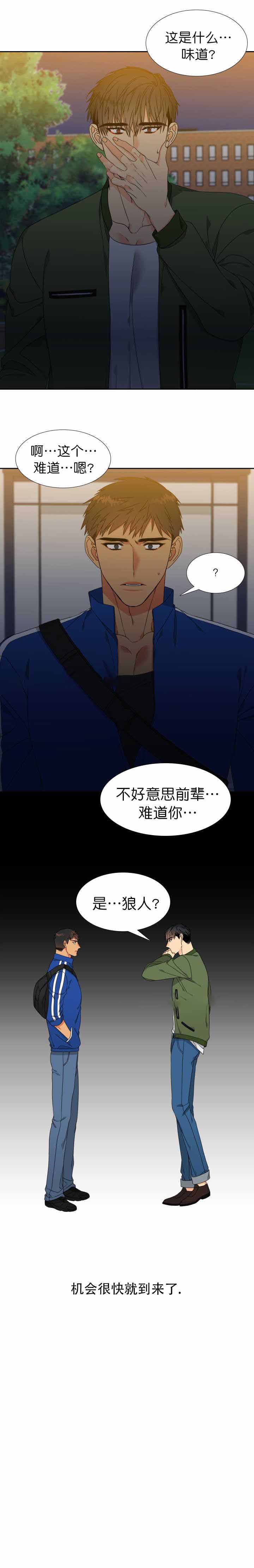 《狼的香气 ( I+II季)》漫画最新章节第117话免费下拉式在线观看章节第【7】张图片