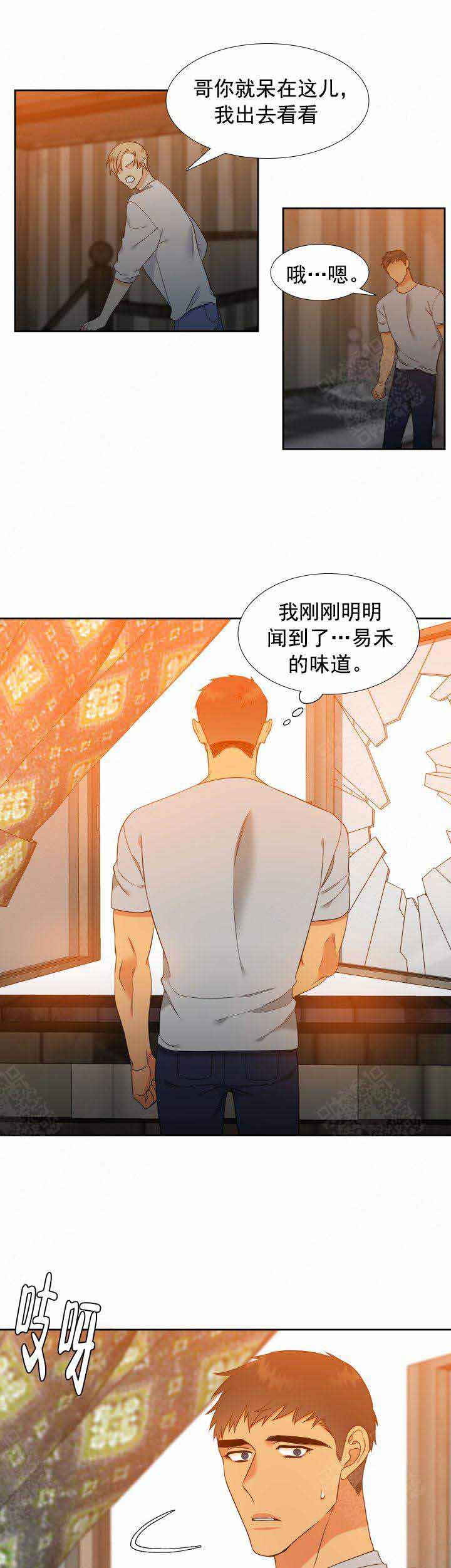 《狼的香气 ( I+II季)》漫画最新章节第198话免费下拉式在线观看章节第【4】张图片