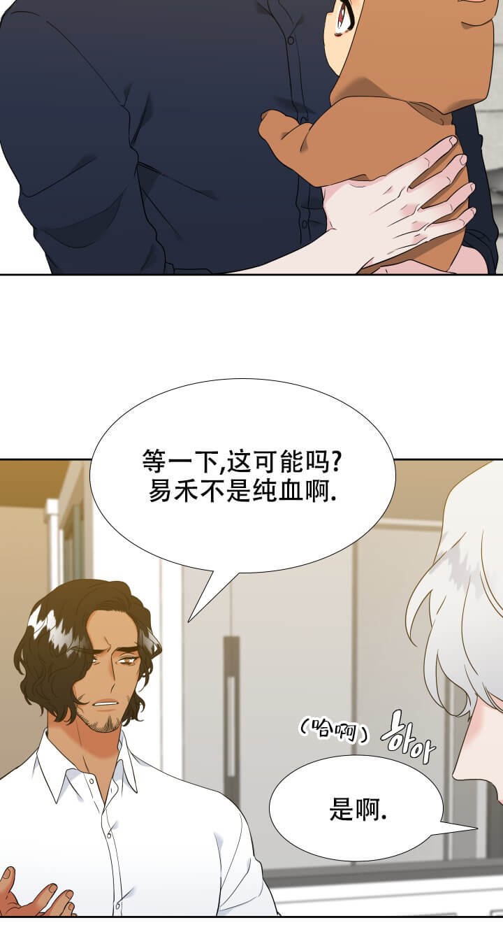 《狼的香气 ( I+II季)》漫画最新章节第242话免费下拉式在线观看章节第【11】张图片