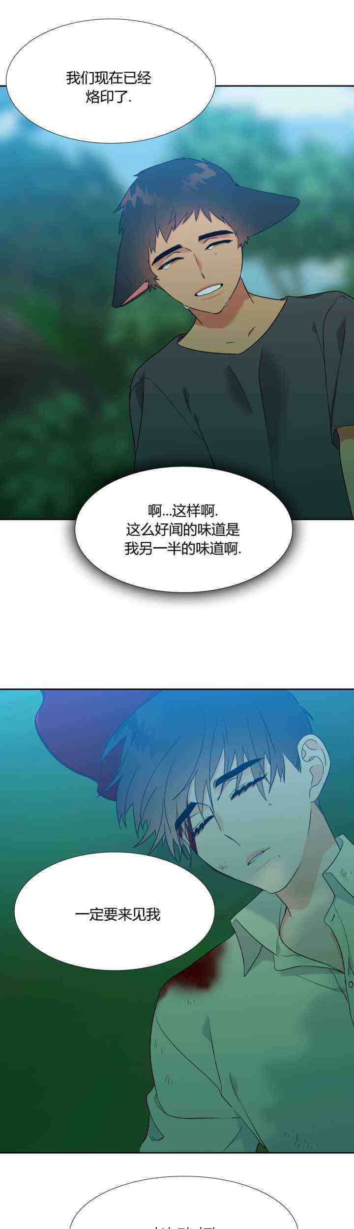 《狼的香气 ( I+II季)》漫画最新章节第225话免费下拉式在线观看章节第【11】张图片