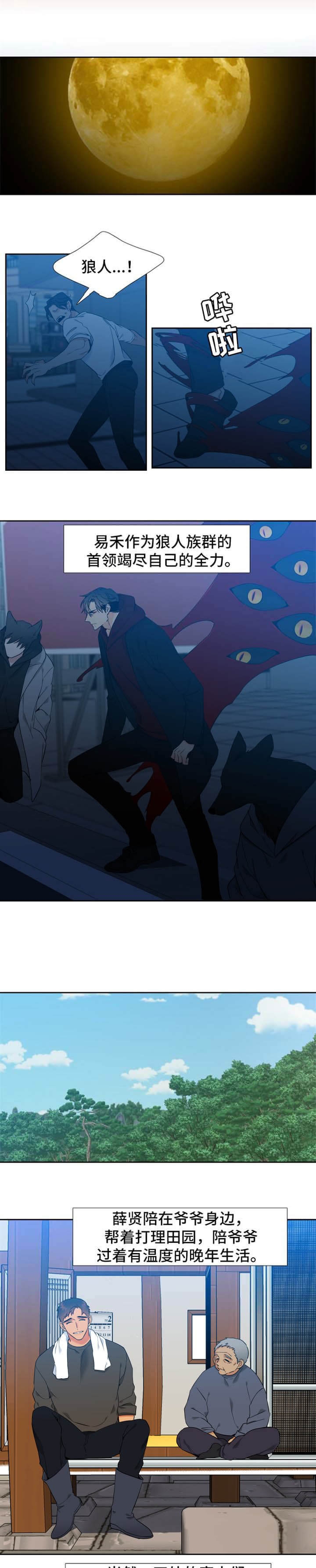 《狼的香气 ( I+II季)》漫画最新章节第267话免费下拉式在线观看章节第【1】张图片