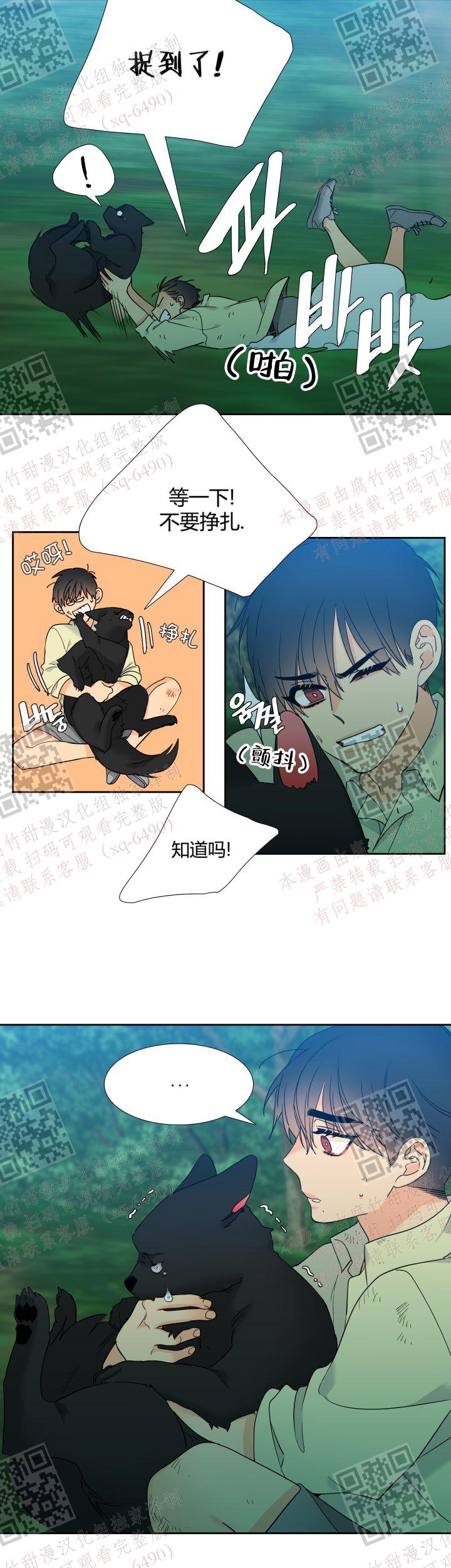 《狼的香气 ( I+II季)》漫画最新章节第233话免费下拉式在线观看章节第【12】张图片