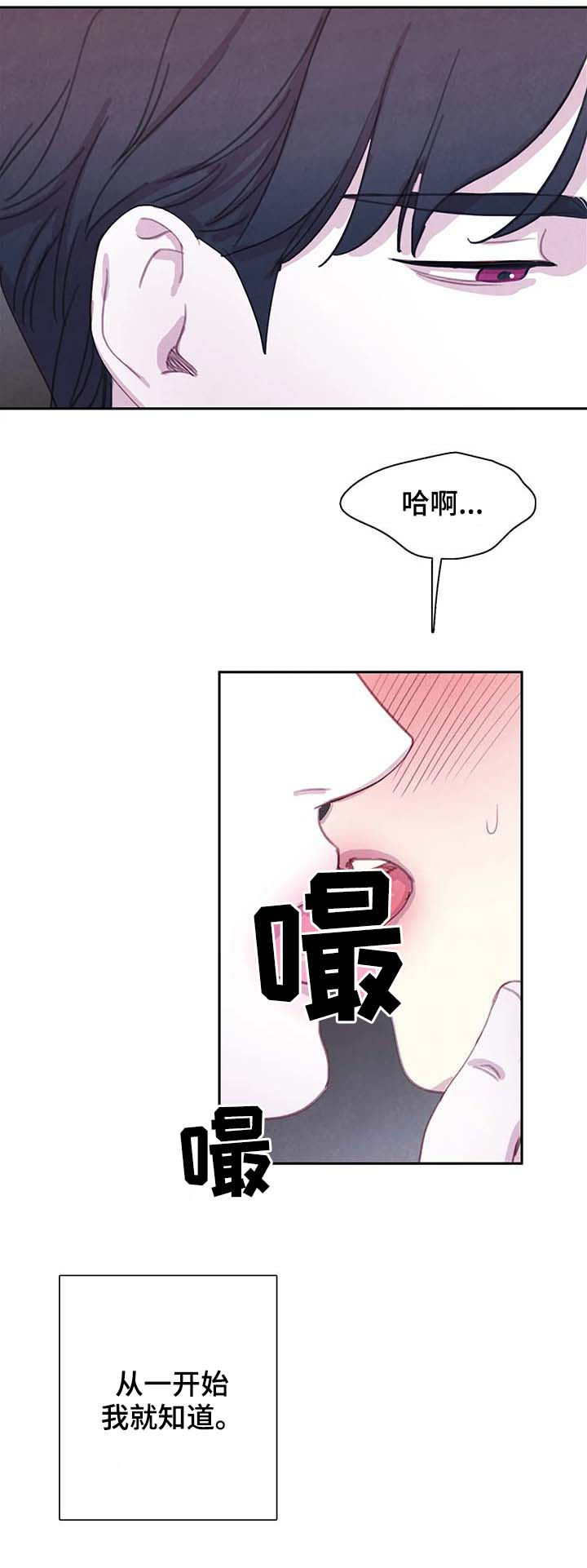 《与蝙蝠共餐》漫画最新章节第64话免费下拉式在线观看章节第【2】张图片