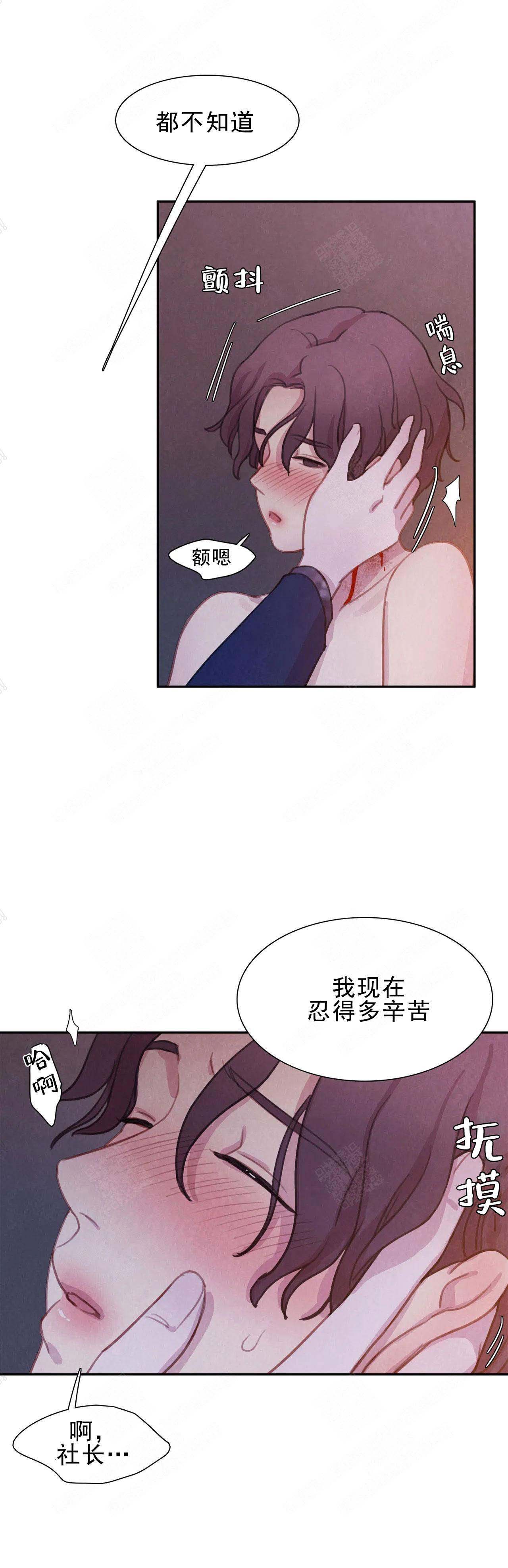 《与蝙蝠共餐》漫画最新章节第13话免费下拉式在线观看章节第【13】张图片