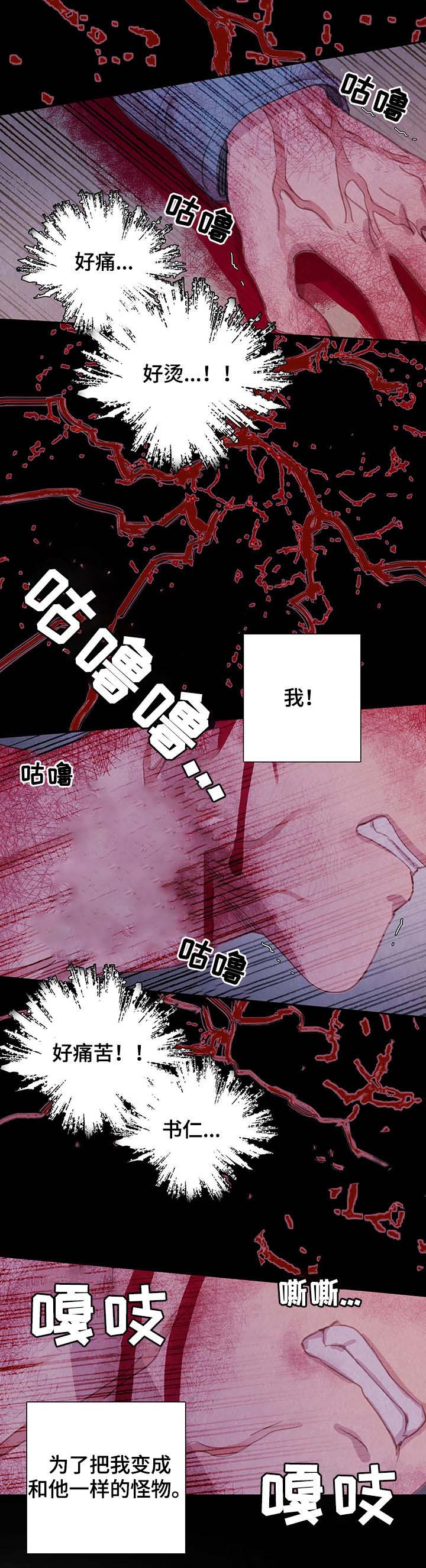 《与蝙蝠共餐》漫画最新章节第52话免费下拉式在线观看章节第【4】张图片