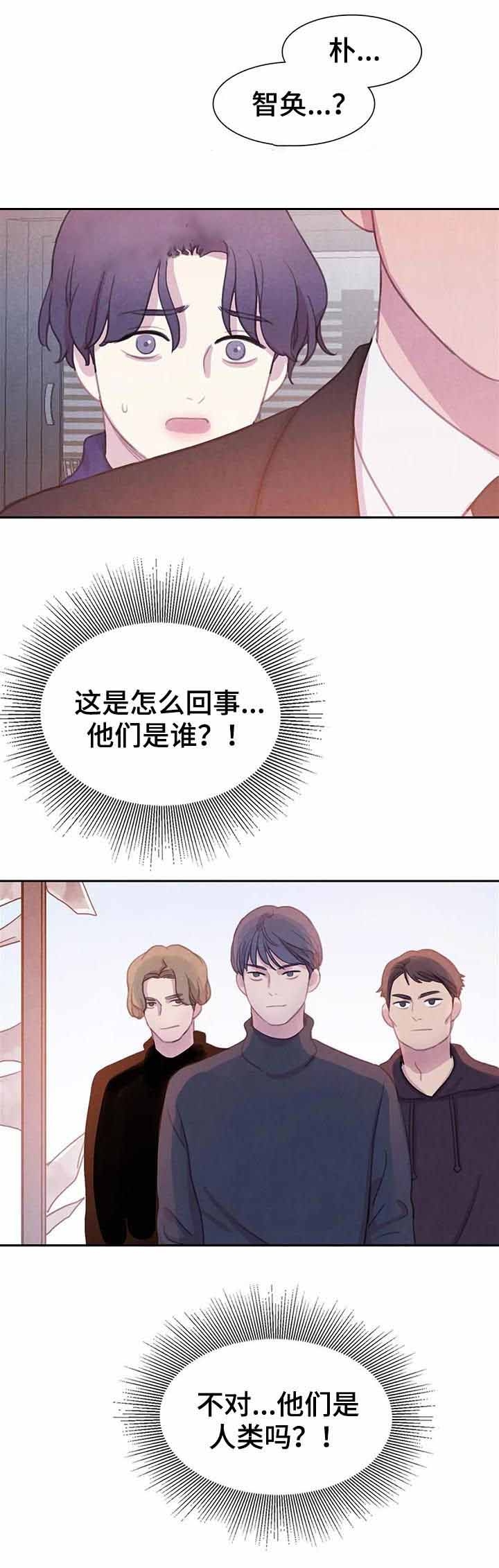 《与蝙蝠共餐》漫画最新章节第84话免费下拉式在线观看章节第【12】张图片