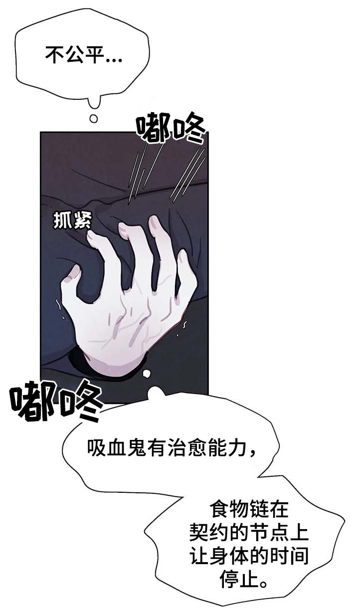 《与蝙蝠共餐》漫画最新章节第46话免费下拉式在线观看章节第【2】张图片