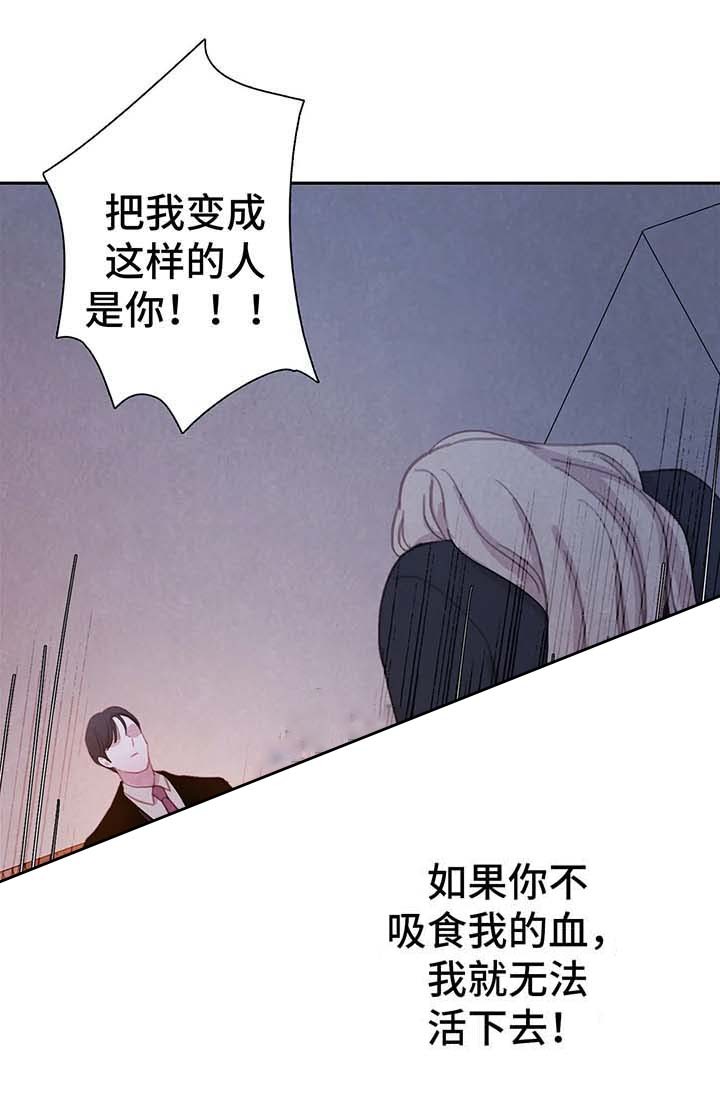 《与蝙蝠共餐》漫画最新章节第37话免费下拉式在线观看章节第【2】张图片