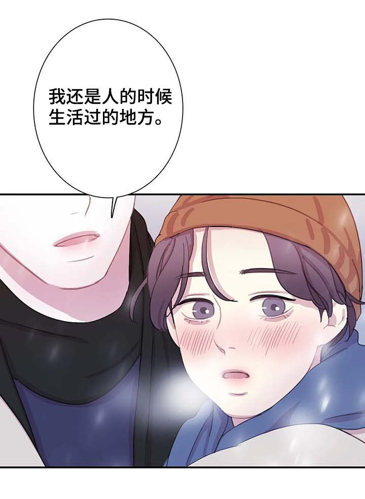 《与蝙蝠共餐》漫画最新章节第60话免费下拉式在线观看章节第【6】张图片