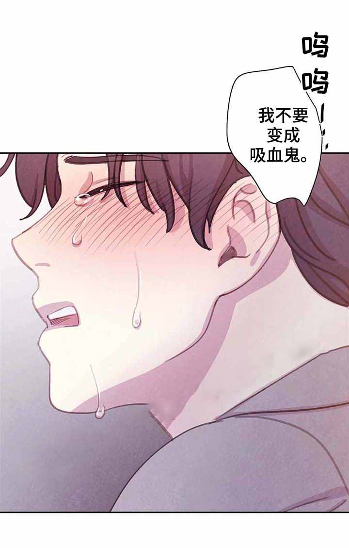 《与蝙蝠共餐》漫画最新章节第66话免费下拉式在线观看章节第【11】张图片