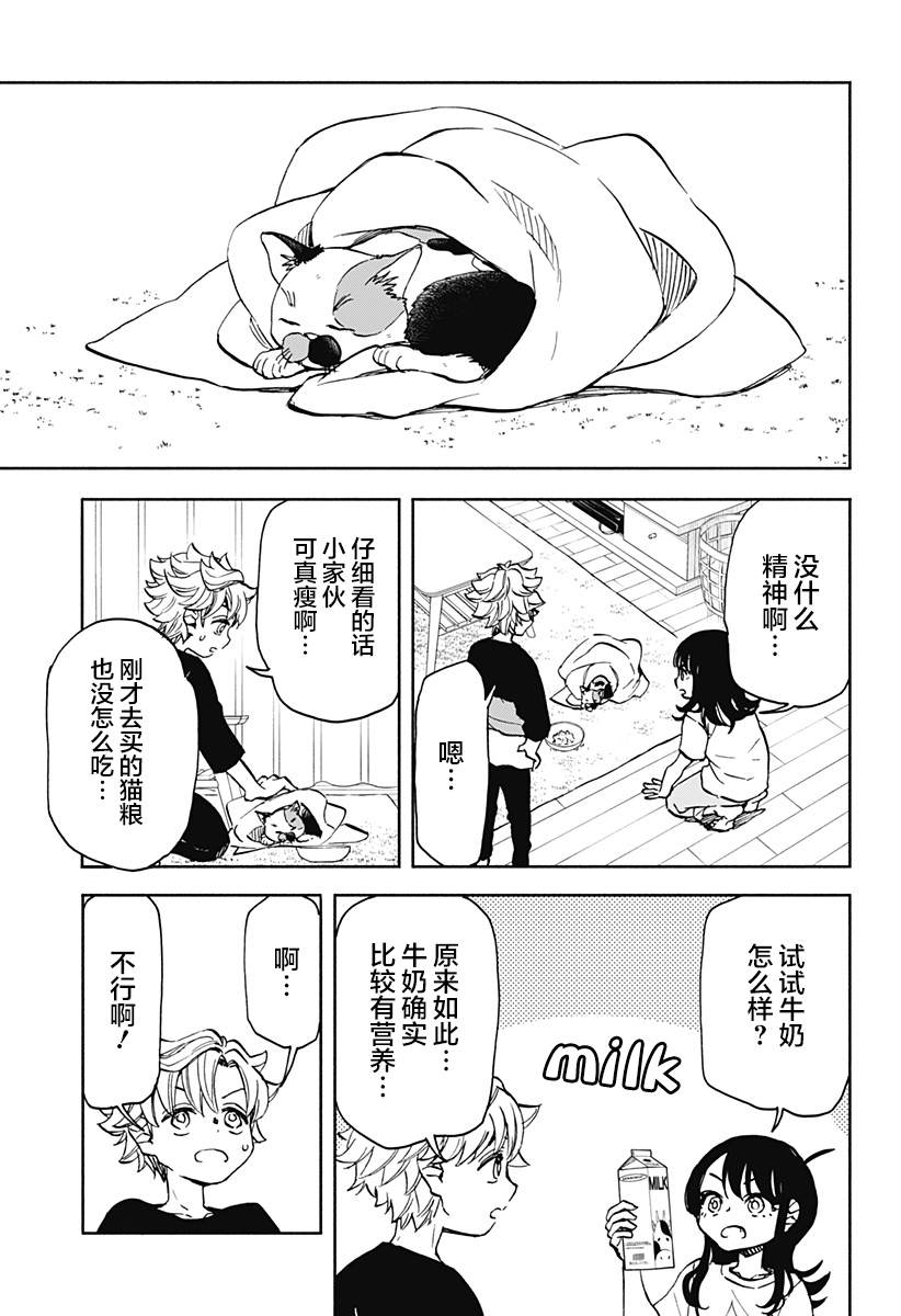 《全都破坏掉!》漫画最新章节第5话 破坏神、来养猫吧免费下拉式在线观看章节第【7】张图片