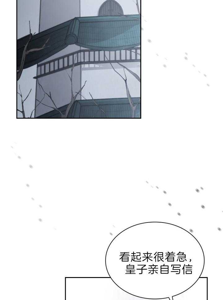 《听说你把我当工具人》漫画最新章节第81话免费下拉式在线观看章节第【16】张图片