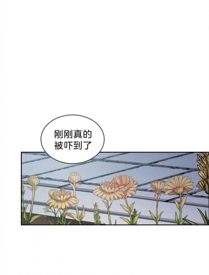 《听说你把我当工具人》漫画最新章节第63话免费下拉式在线观看章节第【11】张图片