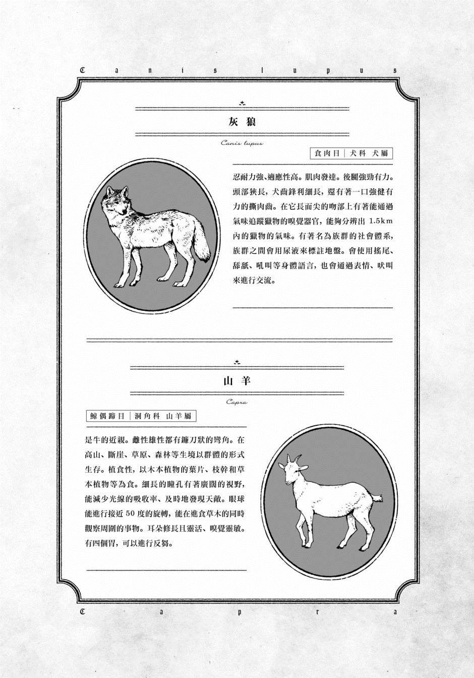 《威兹德姆之兽》漫画最新章节第3话免费下拉式在线观看章节第【25】张图片