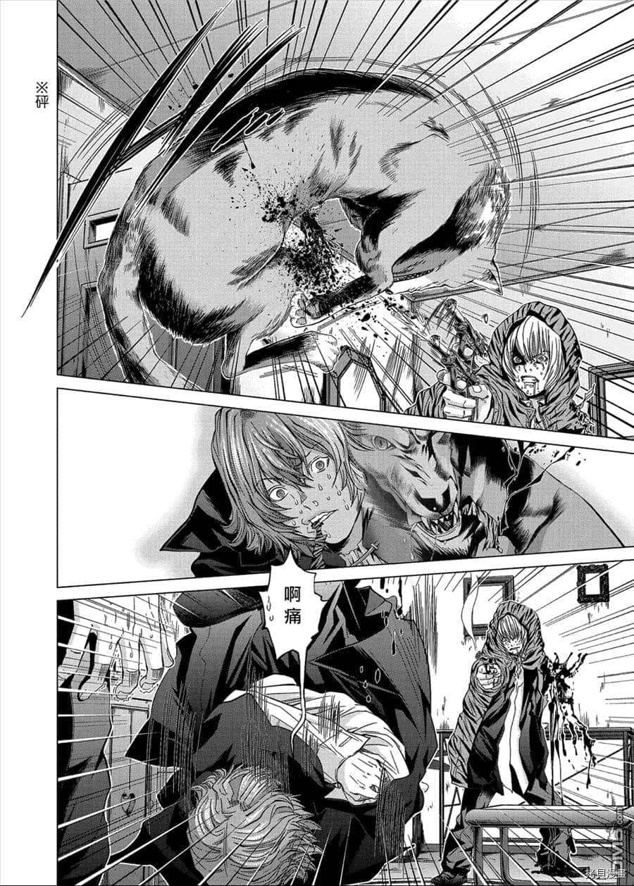 《神圣骑士Holy Knight》漫画最新章节第14话免费下拉式在线观看章节第【12】张图片