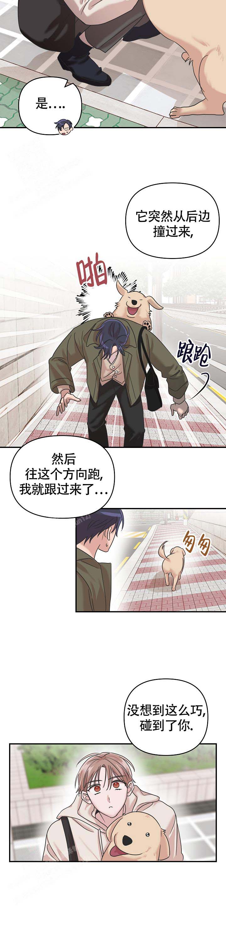 《我的嗜血竹马》漫画最新章节第17话免费下拉式在线观看章节第【5】张图片