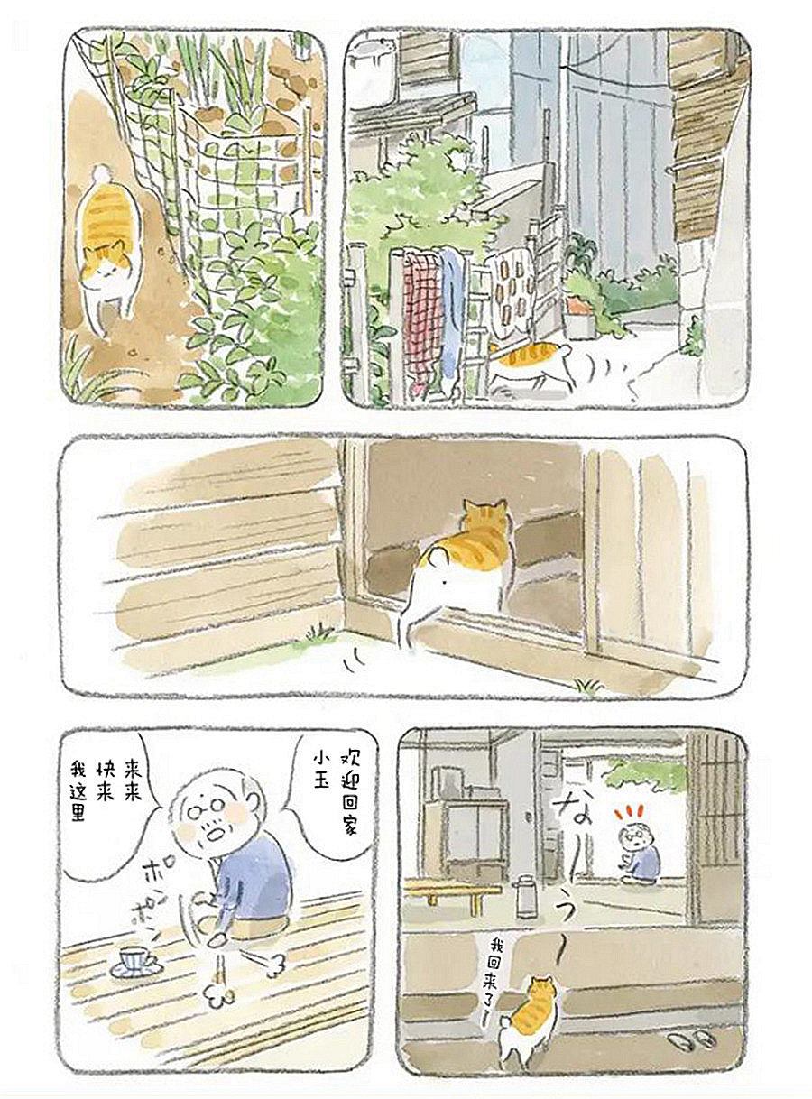 《宅新闻 作品合集》漫画最新章节第3话 老爷爷和猫免费下拉式在线观看章节第【5】张图片