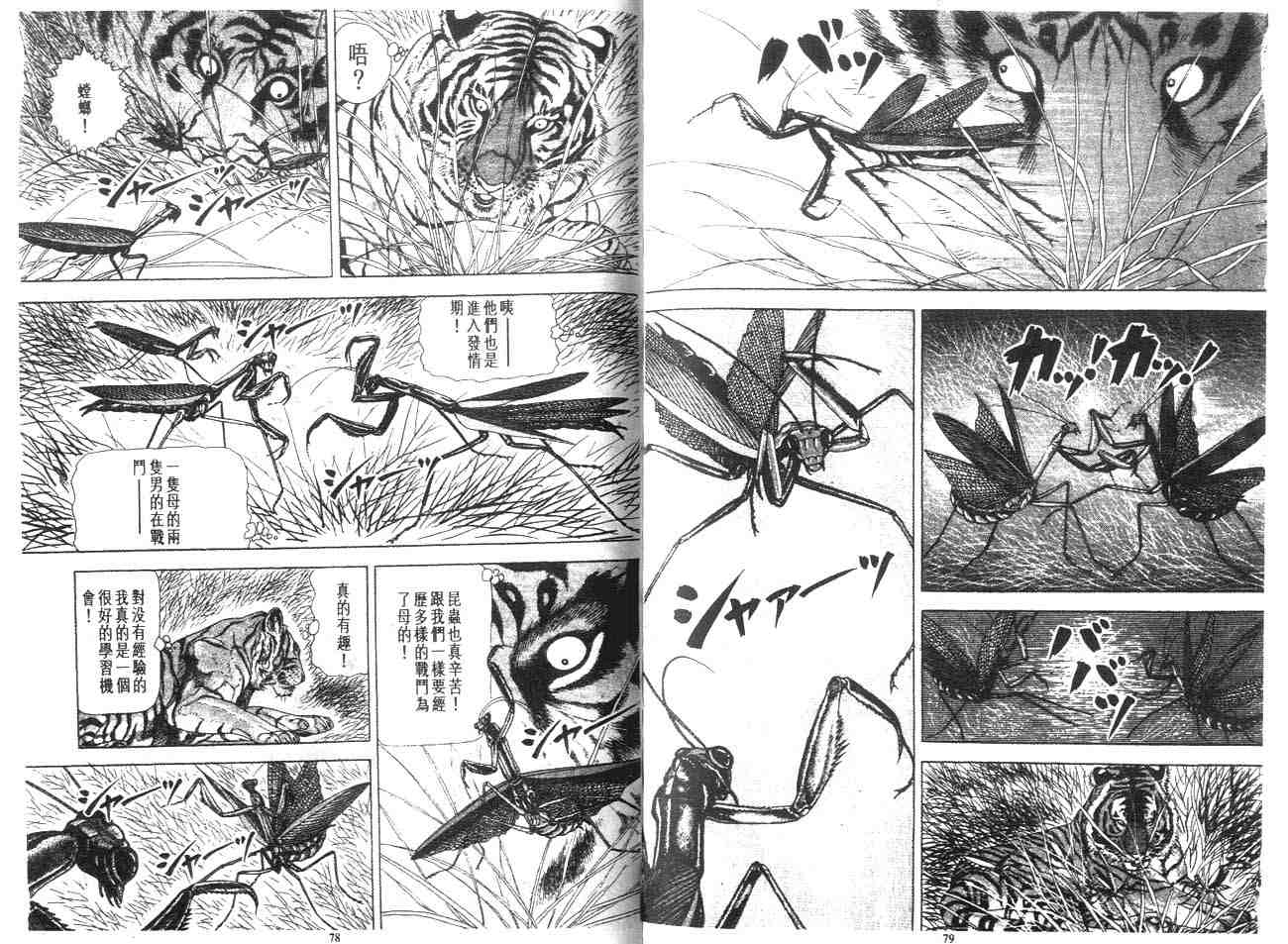 《白虎记》漫画最新章节第1卷免费下拉式在线观看章节第【45】张图片