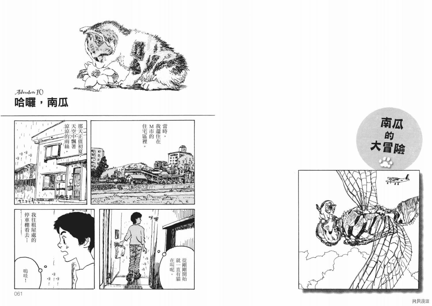 《南瓜与我的野放生活》漫画最新章节第1卷免费下拉式在线观看章节第【32】张图片