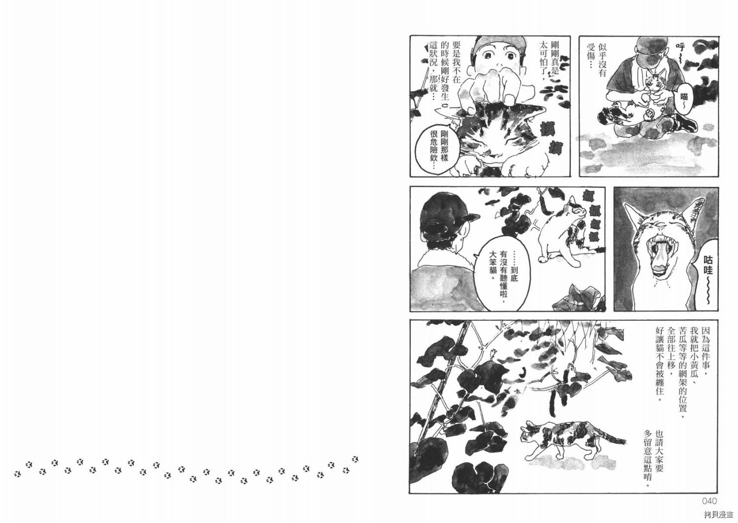 《南瓜与我的野放生活》漫画最新章节第1卷免费下拉式在线观看章节第【22】张图片