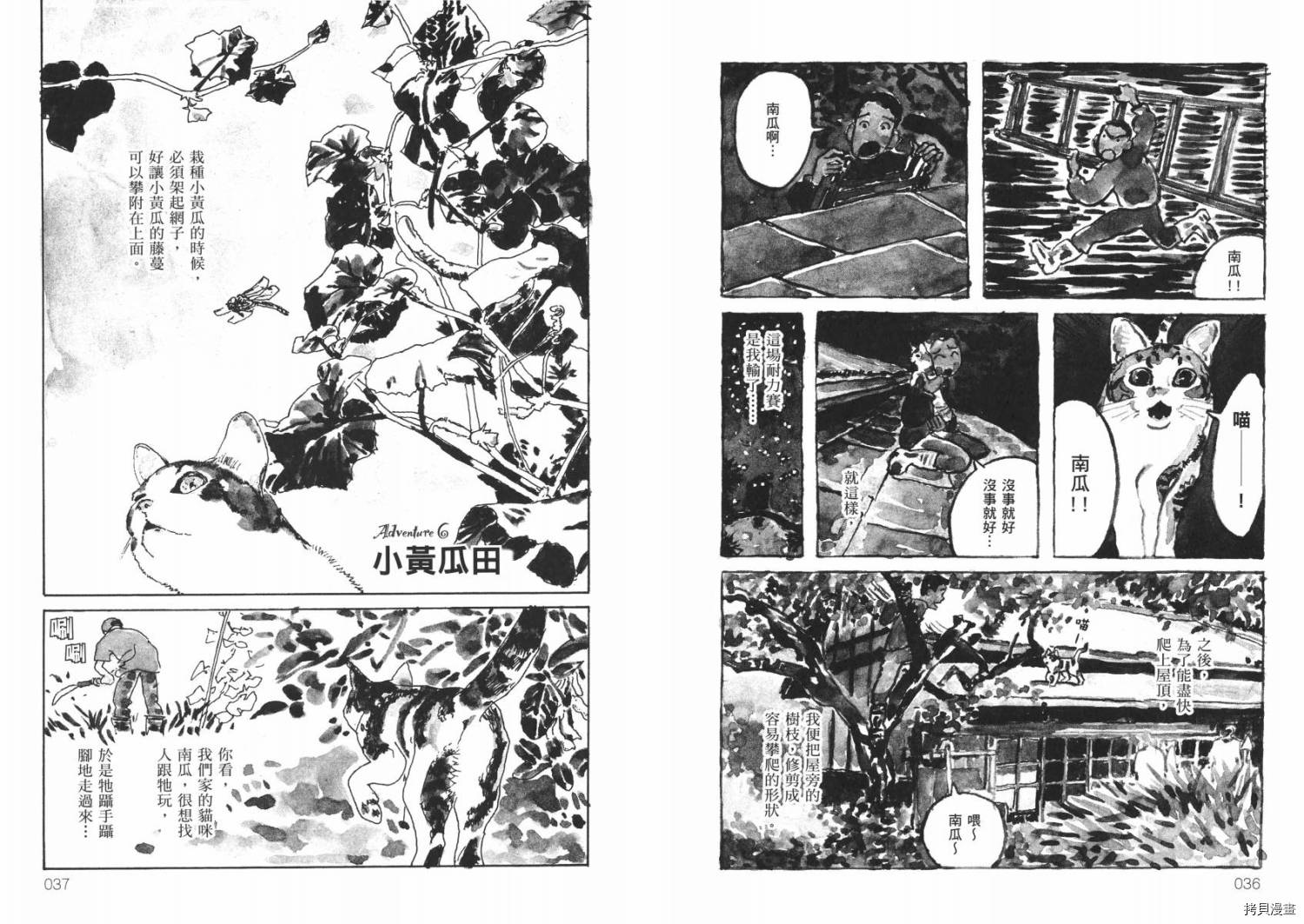 《南瓜与我的野放生活》漫画最新章节第1卷免费下拉式在线观看章节第【20】张图片