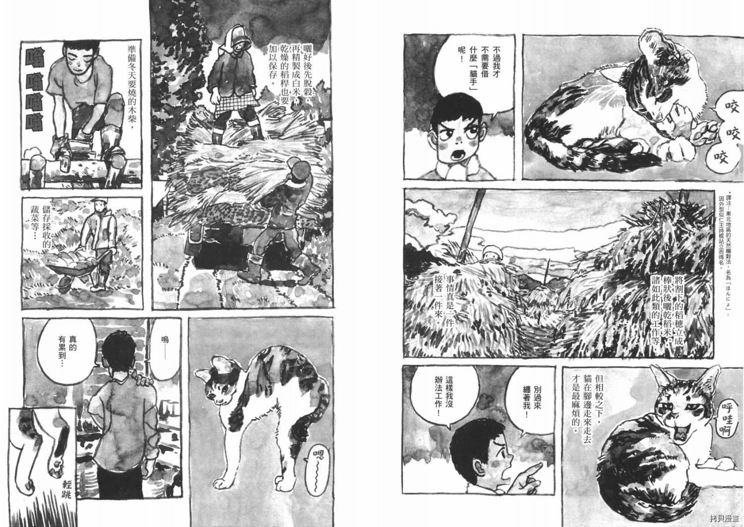 《南瓜与我的野放生活》漫画最新章节第1卷免费下拉式在线观看章节第【37】张图片