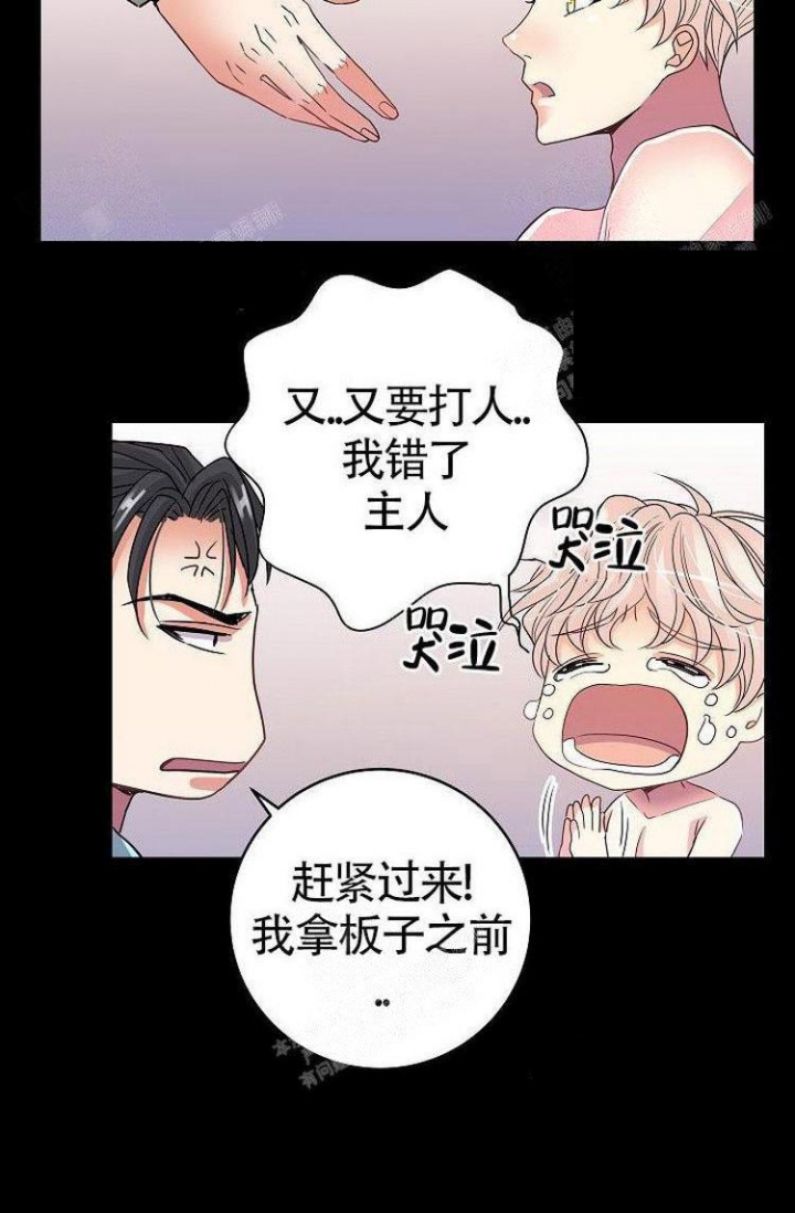 《练习伴侣》漫画最新章节第31话免费下拉式在线观看章节第【20】张图片