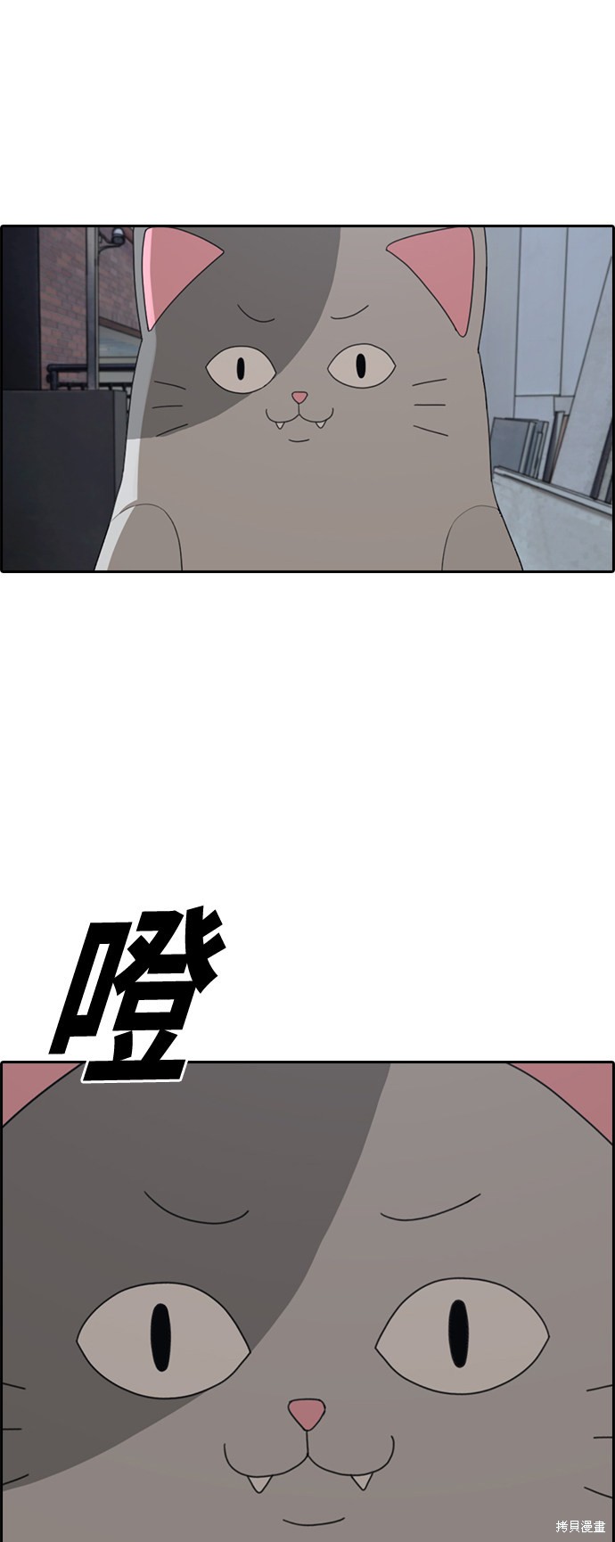 《青春白卷》漫画最新章节第307话免费下拉式在线观看章节第【49】张图片