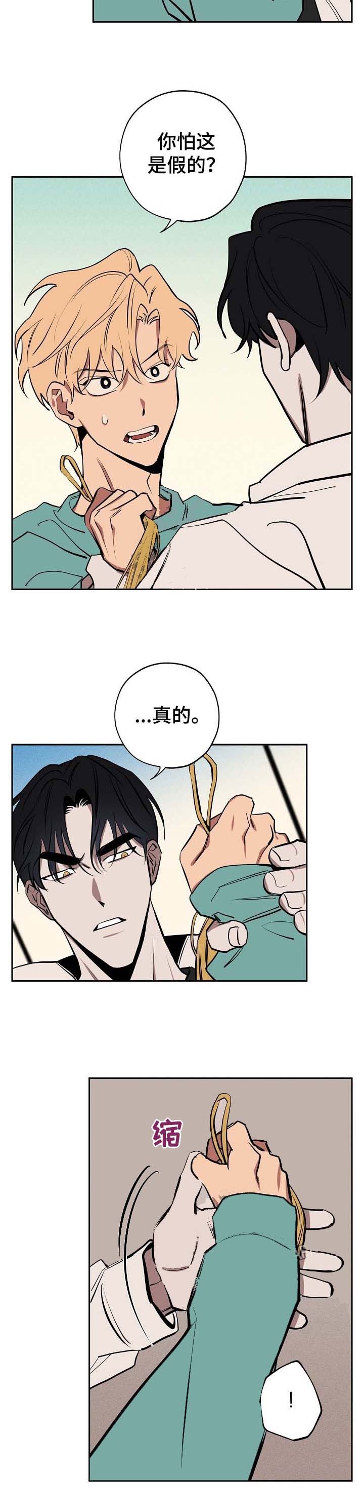 《金星的轨迹》漫画最新章节第53话免费下拉式在线观看章节第【3】张图片