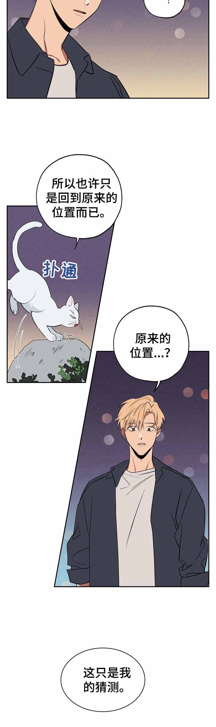 《金星的轨迹》漫画最新章节第36话免费下拉式在线观看章节第【10】张图片