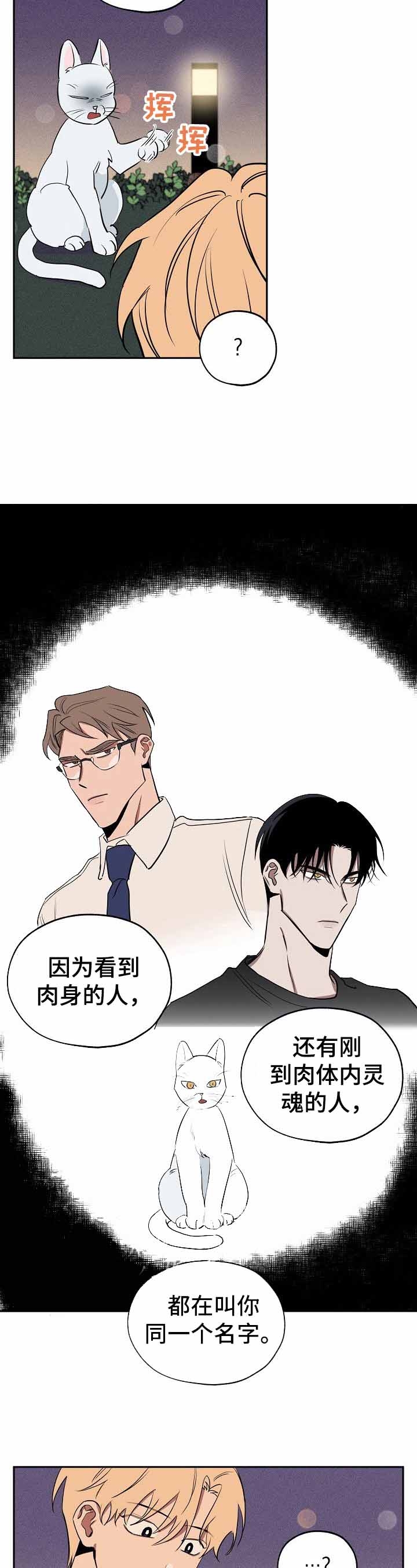 《金星的轨迹》漫画最新章节第36话免费下拉式在线观看章节第【9】张图片