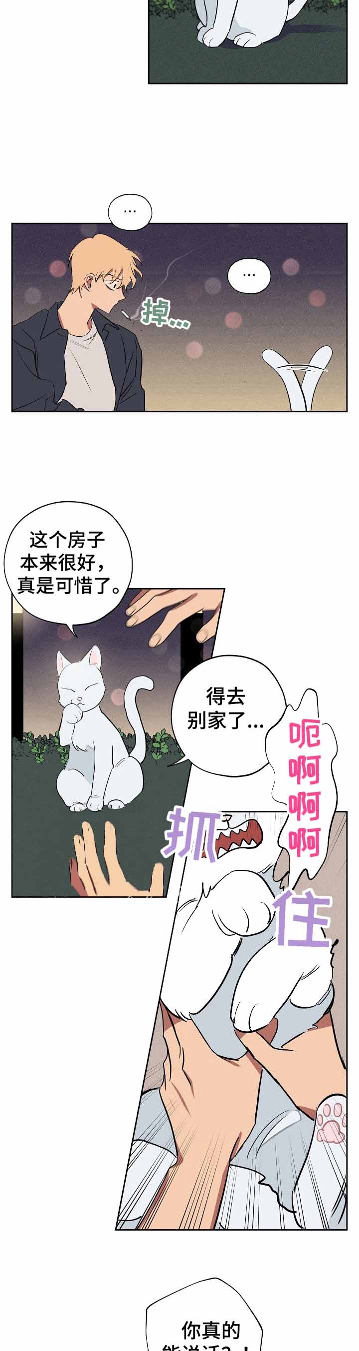 《金星的轨迹》漫画最新章节第36话免费下拉式在线观看章节第【5】张图片