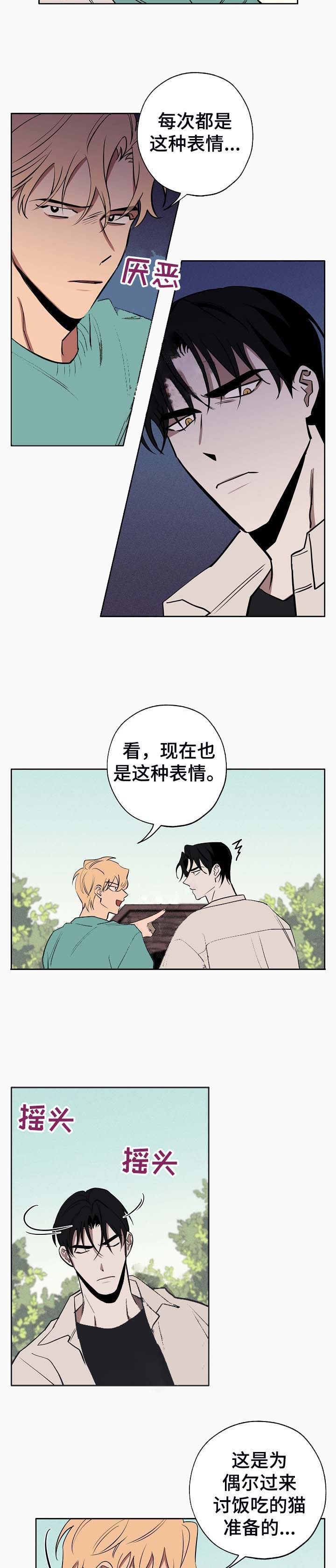 《金星的轨迹》漫画最新章节第45话免费下拉式在线观看章节第【4】张图片