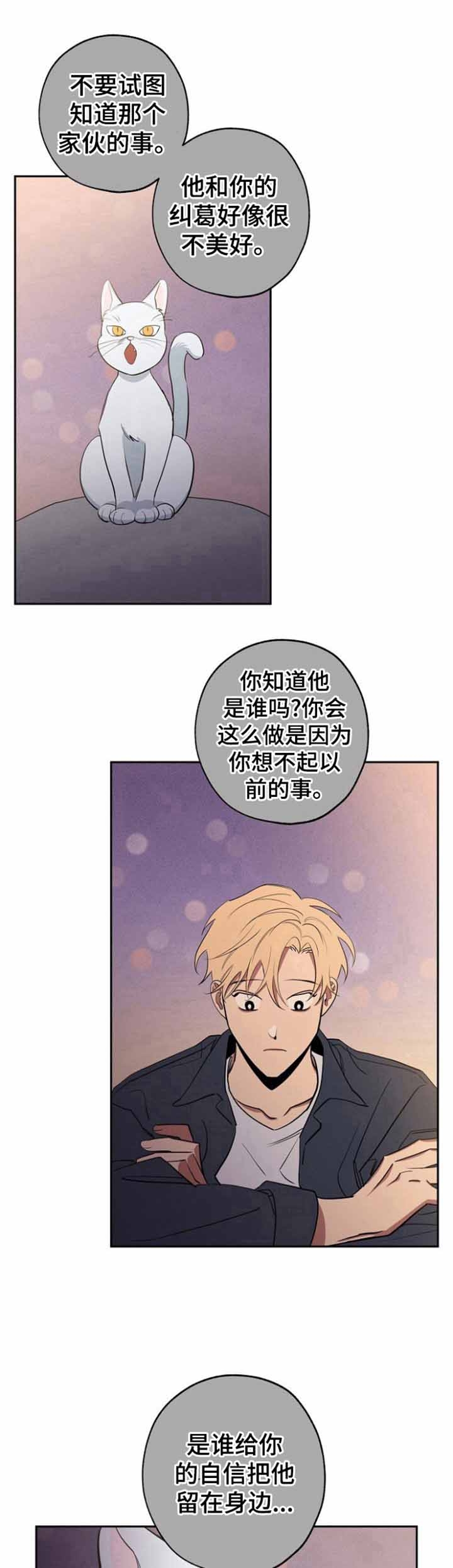 《金星的轨迹》漫画最新章节第38话免费下拉式在线观看章节第【11】张图片