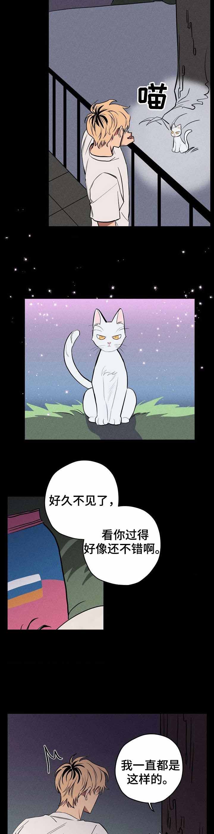 《金星的轨迹》漫画最新章节第10话免费下拉式在线观看章节第【2】张图片