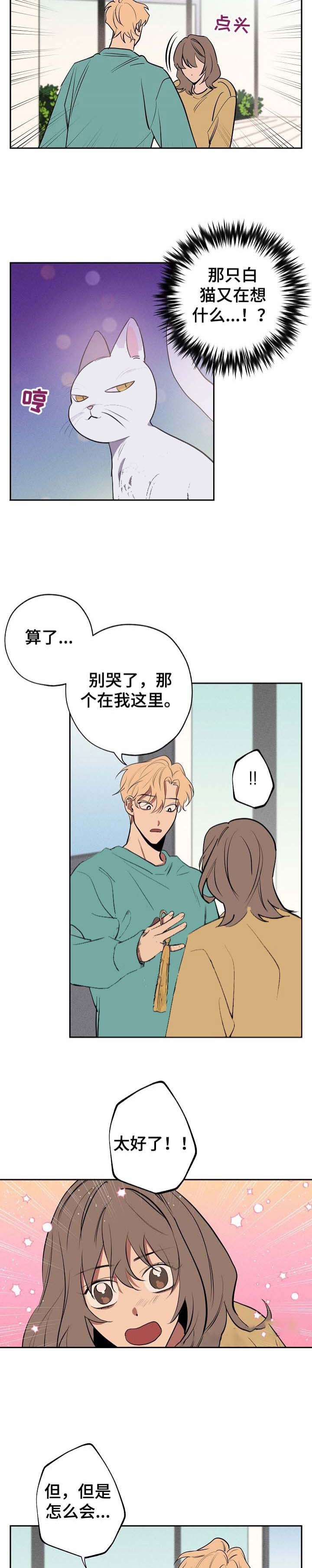 《金星的轨迹》漫画最新章节第54话免费下拉式在线观看章节第【5】张图片