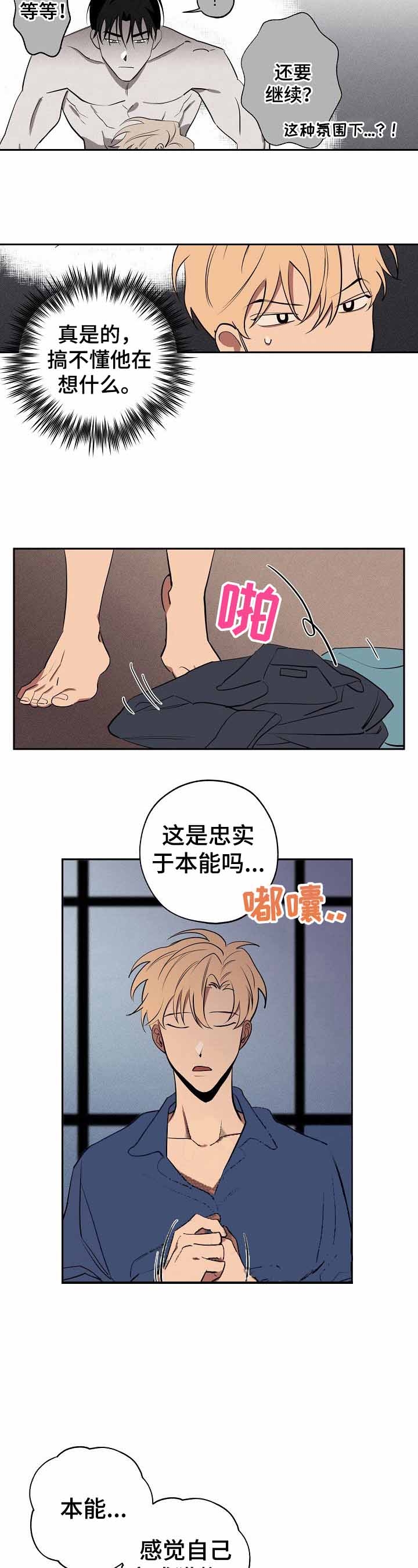 《金星的轨迹》漫画最新章节第38话免费下拉式在线观看章节第【2】张图片