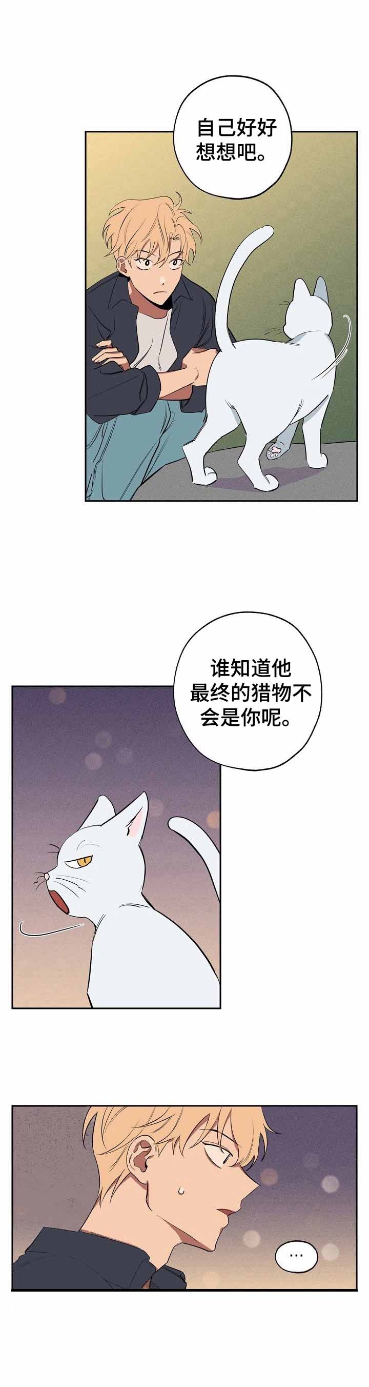 《金星的轨迹》漫画最新章节第37话免费下拉式在线观看章节第【4】张图片