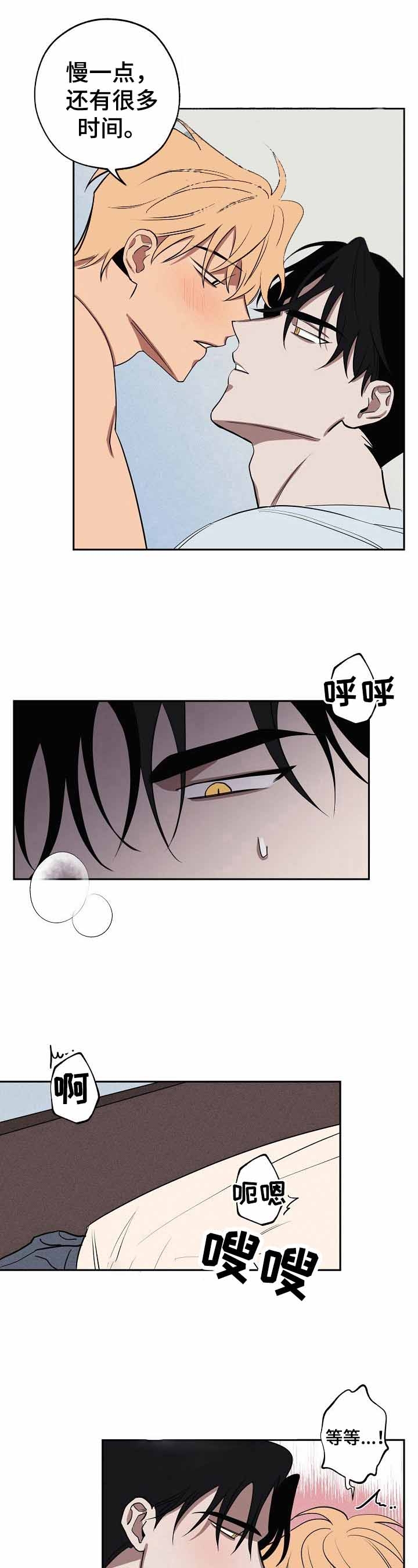 《金星的轨迹》漫画最新章节第33话免费下拉式在线观看章节第【8】张图片