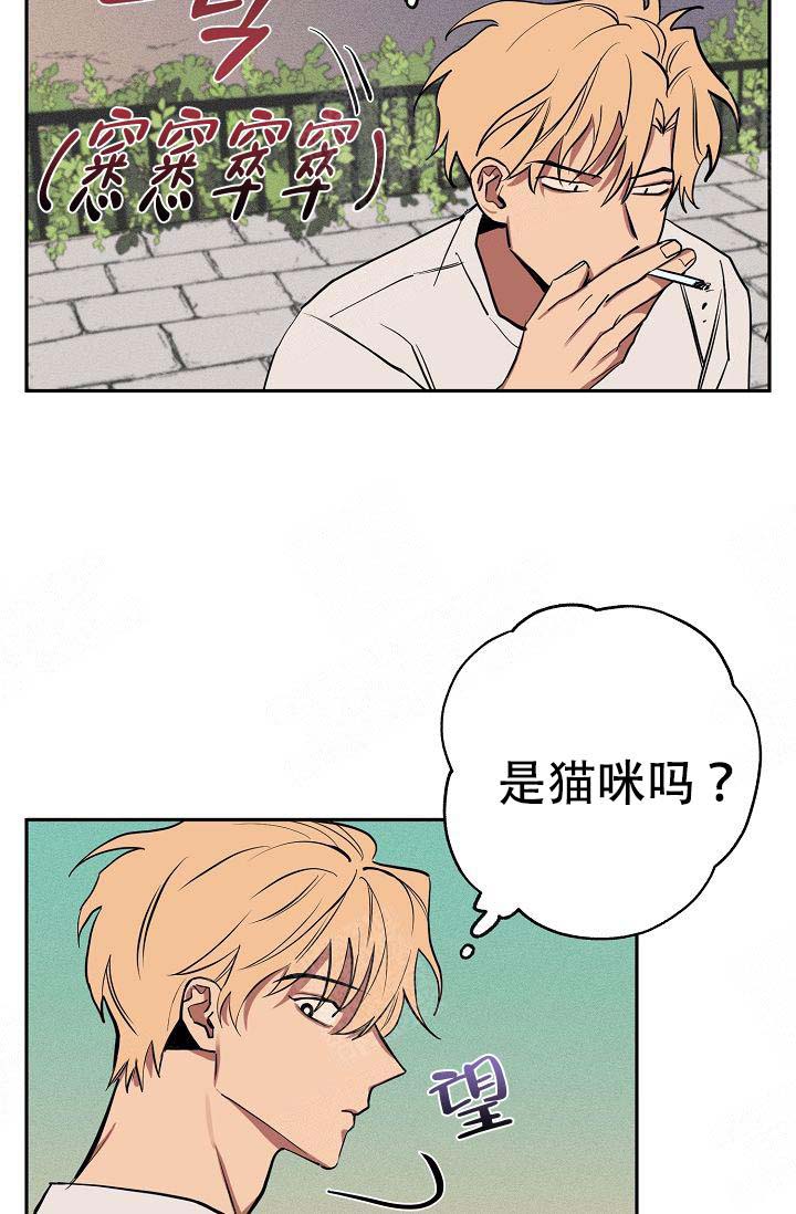 《金星的轨迹》漫画最新章节第20话免费下拉式在线观看章节第【19】张图片