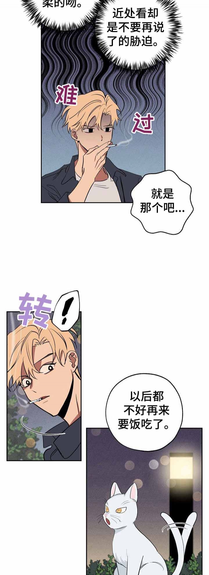 《金星的轨迹》漫画最新章节第36话免费下拉式在线观看章节第【4】张图片