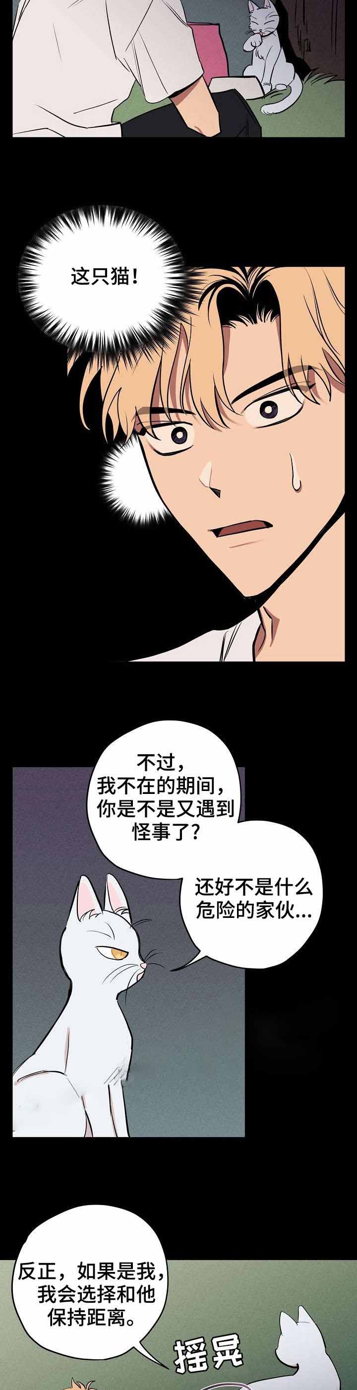 《金星的轨迹》漫画最新章节第10话免费下拉式在线观看章节第【3】张图片